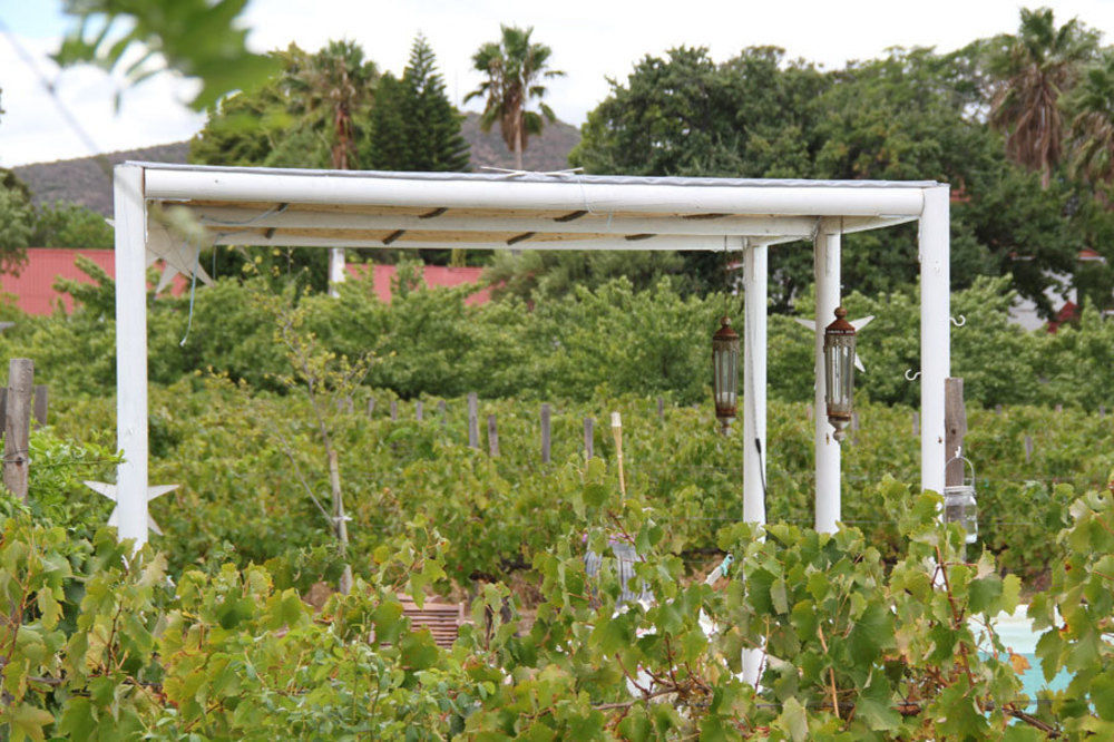 The Vineyard Country House Hotel Montagu Exterior photo