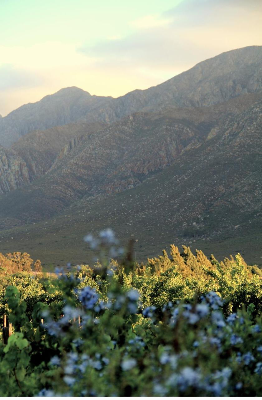 The Vineyard Country House Hotel Montagu Exterior photo